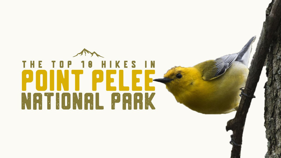 The Top 10 Hikes in Point Pelee National Park