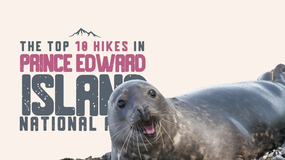 The Top 10 Hikes in Prince Edward Island National Park
