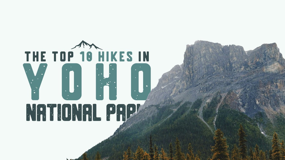 The Top 10 Hikes in Yoho National Park