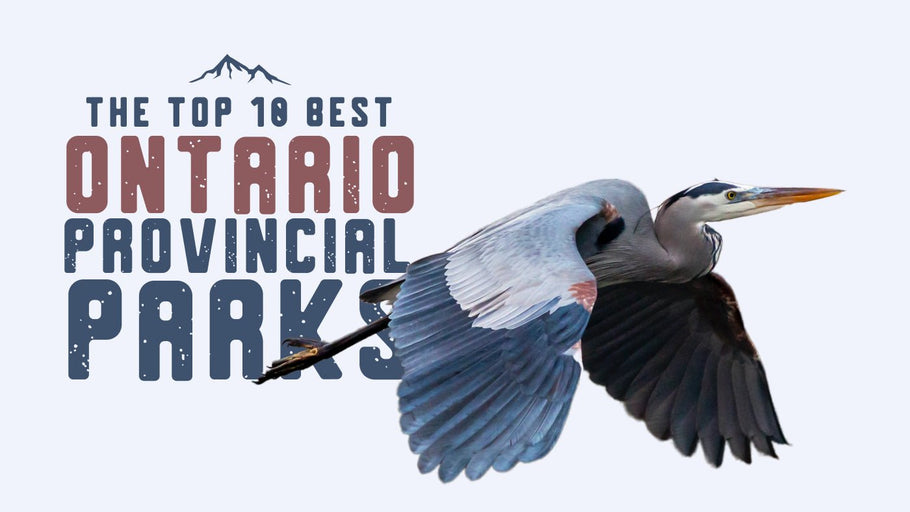The Top 10 Ontario Provincial Parks