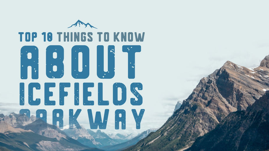 The Top 10 Things You Need to Know about Icefields Parkway