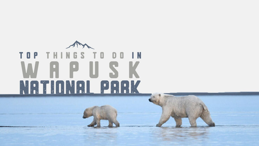 Things to do in Wapusk National Park