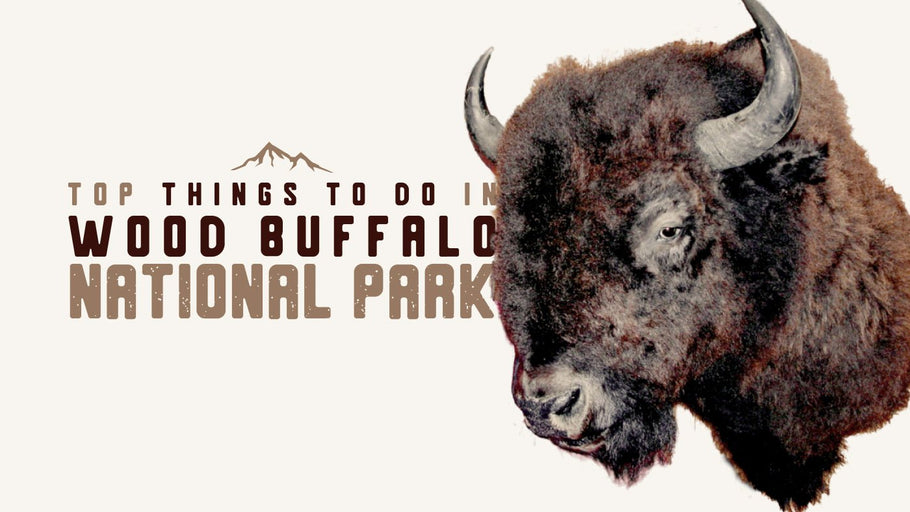 Things to do in Wood Buffalo National Park