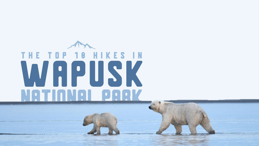 Top 10 Hikes in Wapusk National Park