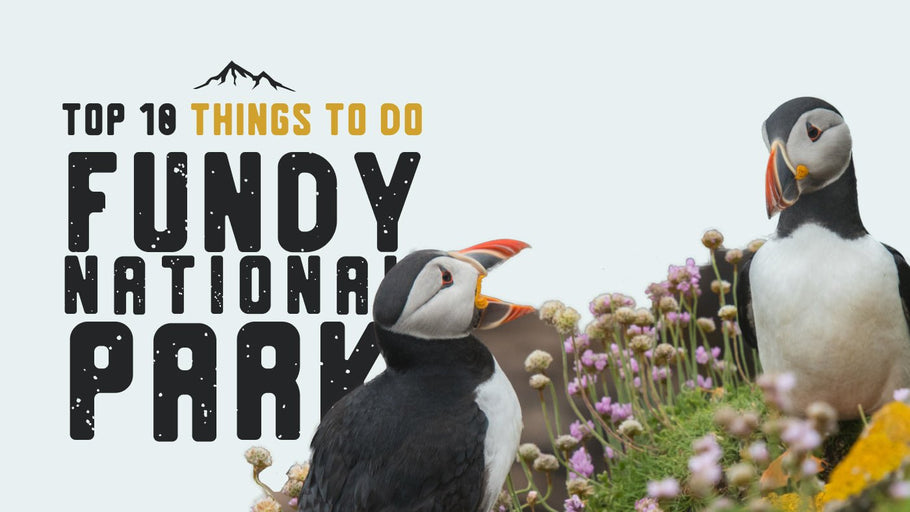 Top 10 Things to do in Fundy National Park