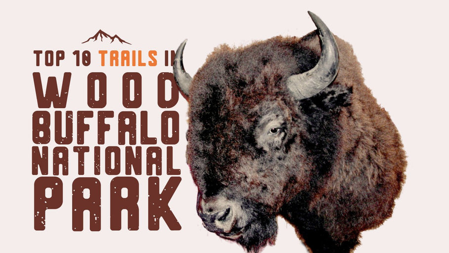 Top 10 Trails in Wood Buffalo National Park