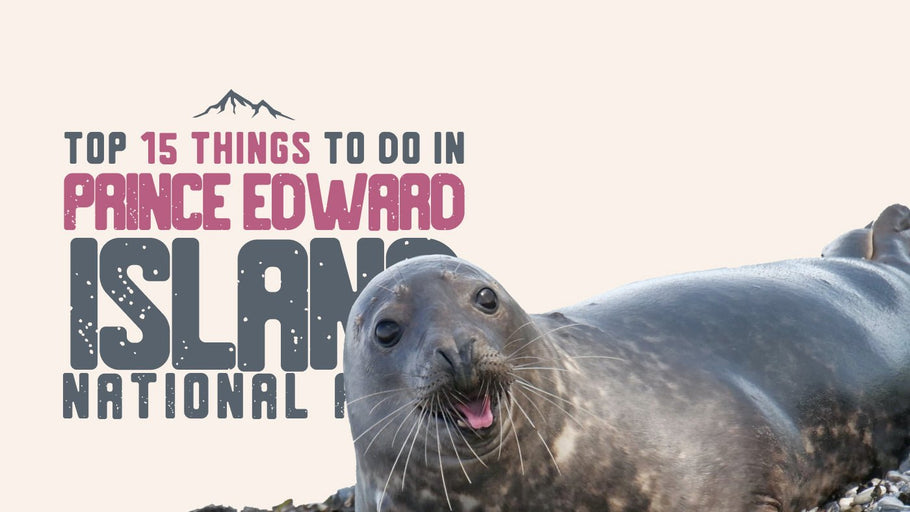 Top 15 Things to Do in Prince Edward Island National Park