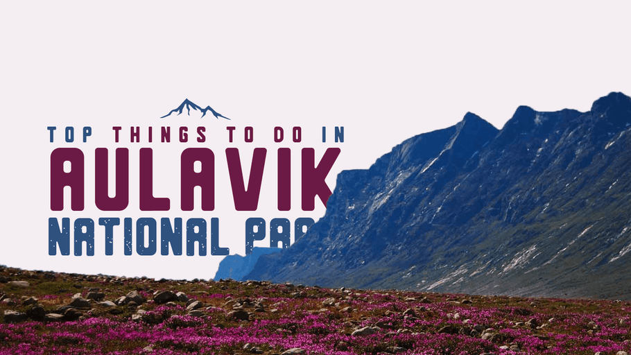 Top Things to Do in Aulavik National Park