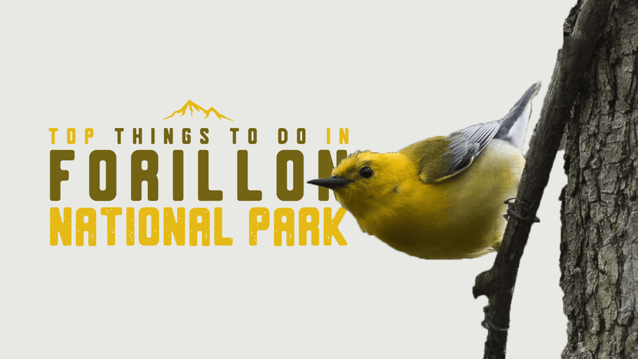 Top Things to Do in Forillon National Park