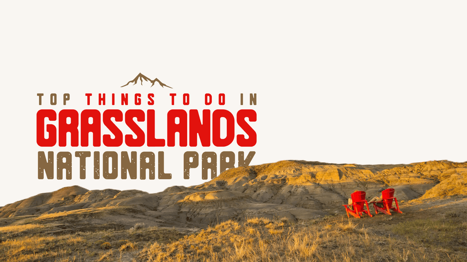 Top Things to Do in Grasslands National Park