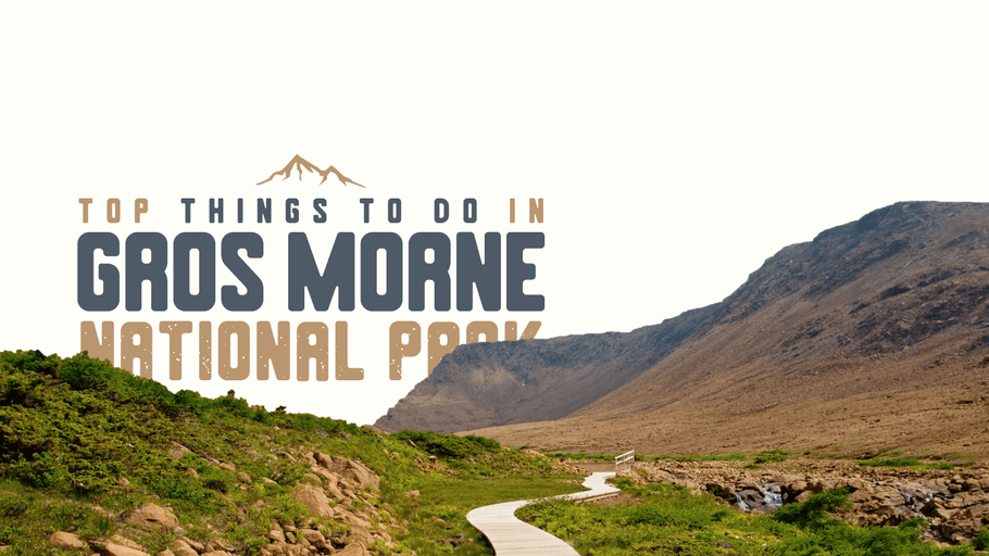 Top Things to Do in Gros Morne National Park