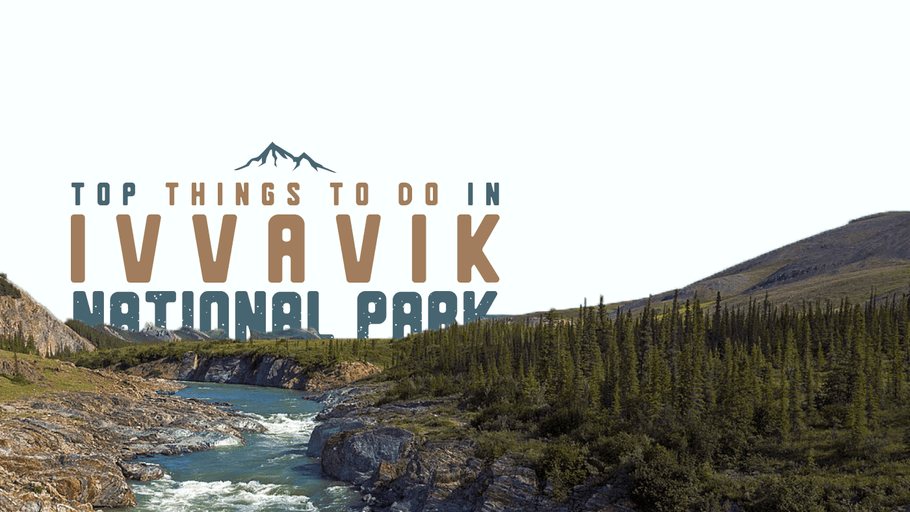 Top Things to Do in Ivvavik National Park