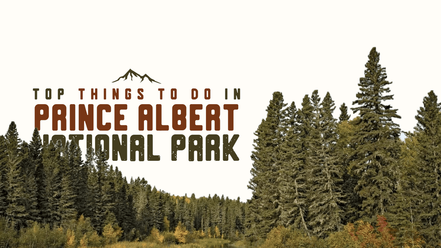 Top Things to Do in Prince Albert National Park