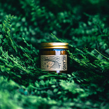 Load image into Gallery viewer, Eastern Shores Canadian National Parks Candle Set - Canada Untamed
