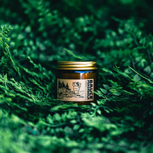 Load image into Gallery viewer, Eastern Shores Canadian National Parks Candle Set - Canada Untamed
