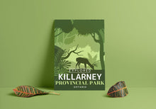 Load image into Gallery viewer, Killarney Provincial Park &#39;Explored&#39; Poster
